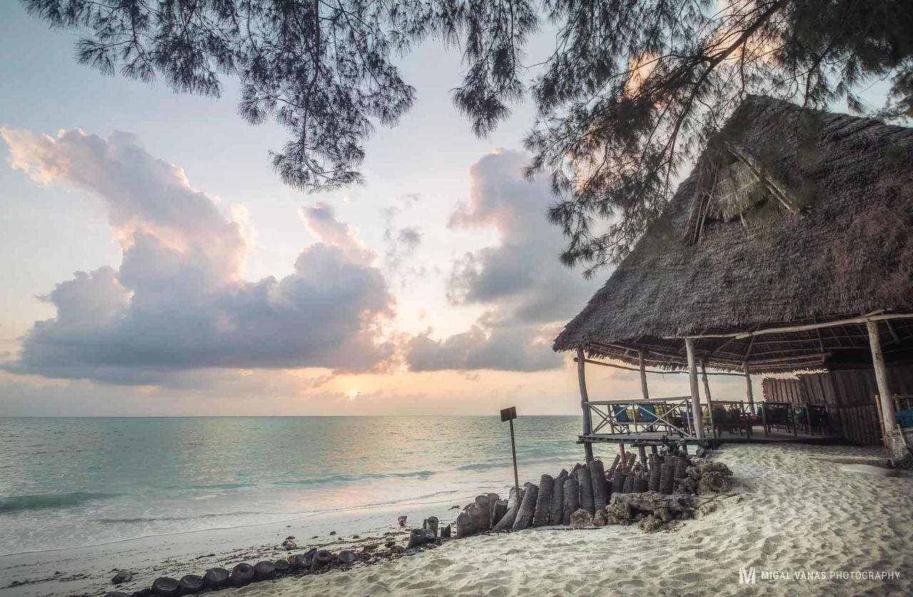Ndame Beach Lodge Paje Ngoại thất bức ảnh