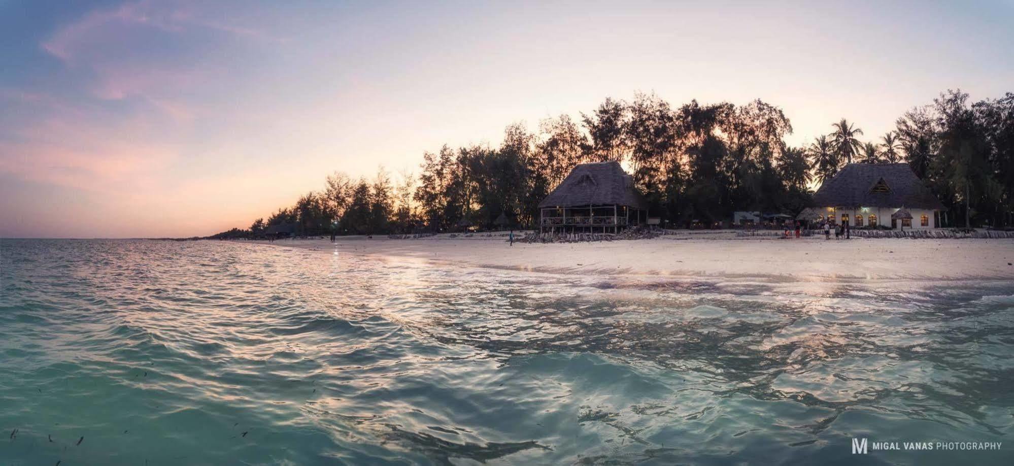 Ndame Beach Lodge Paje Ngoại thất bức ảnh