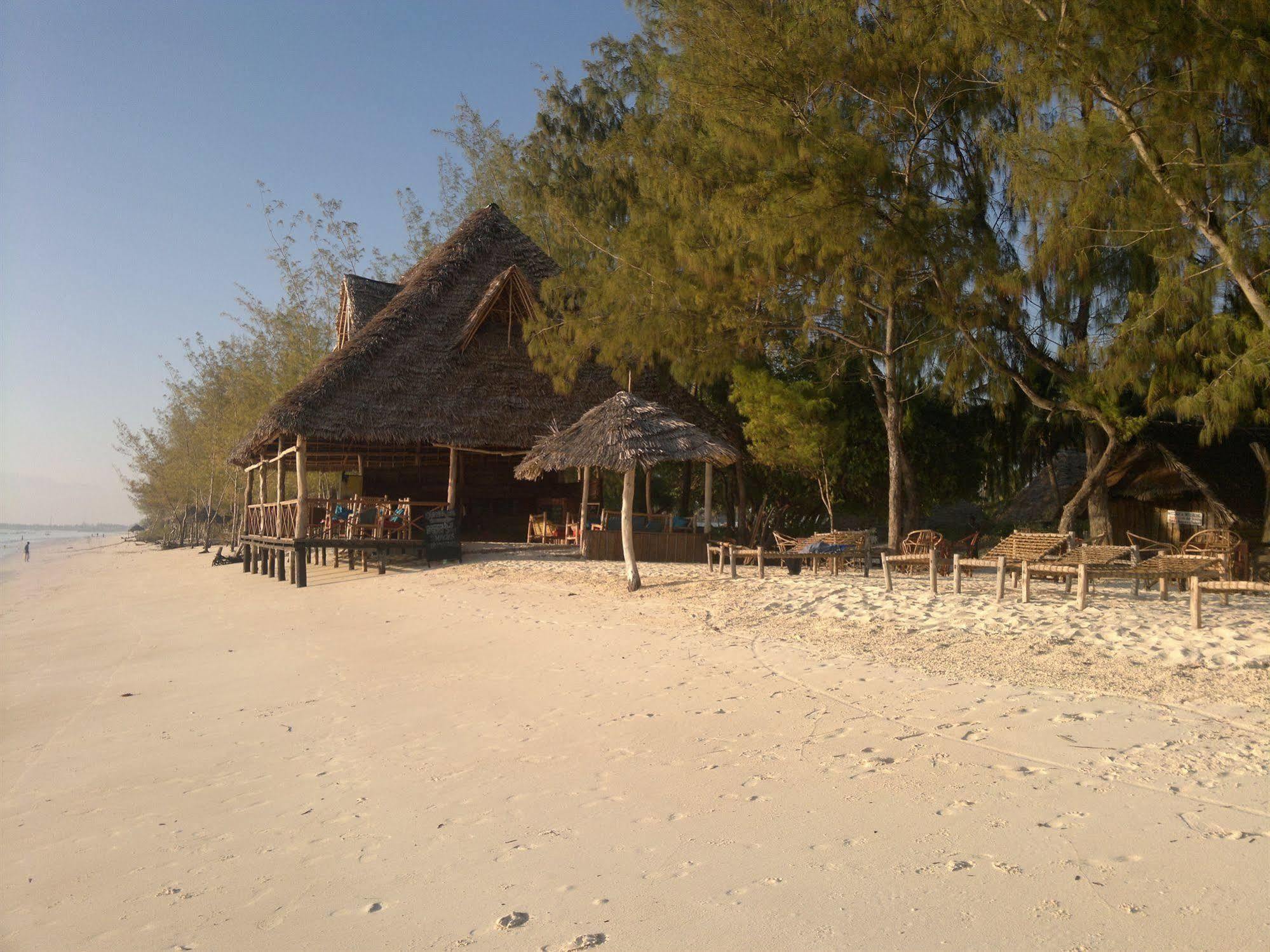 Ndame Beach Lodge Paje Ngoại thất bức ảnh
