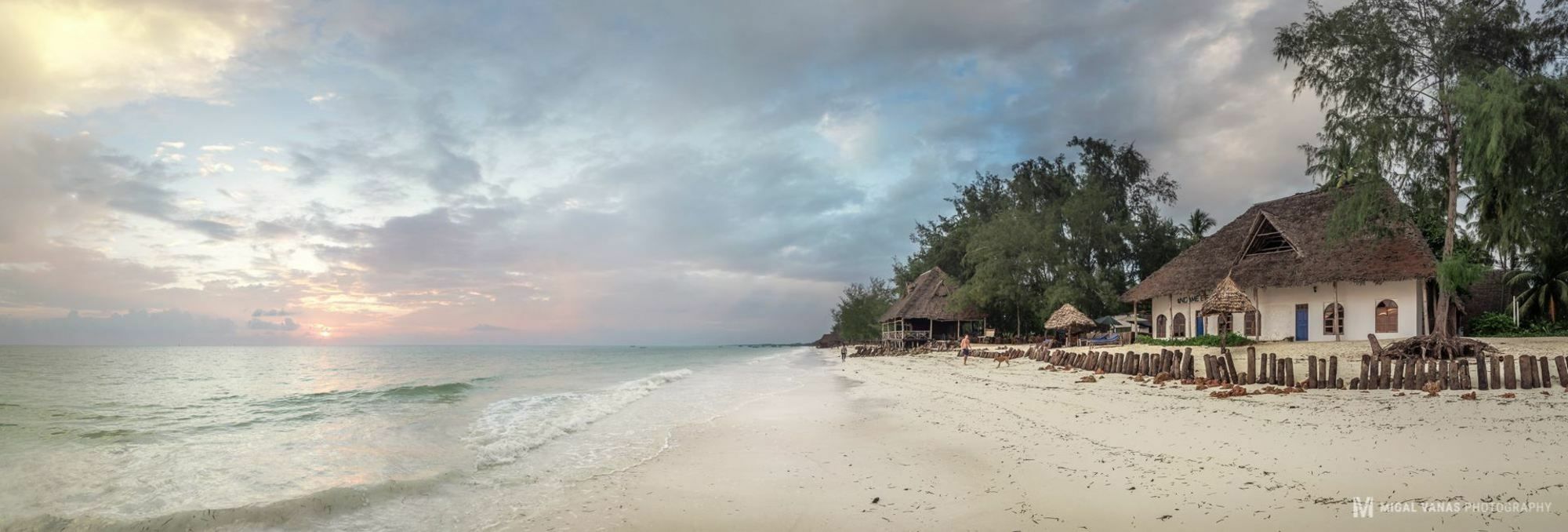 Ndame Beach Lodge Paje Ngoại thất bức ảnh